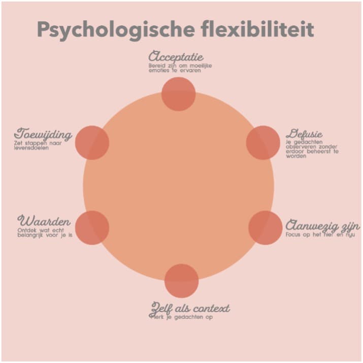 ACT Mindflow Meijers